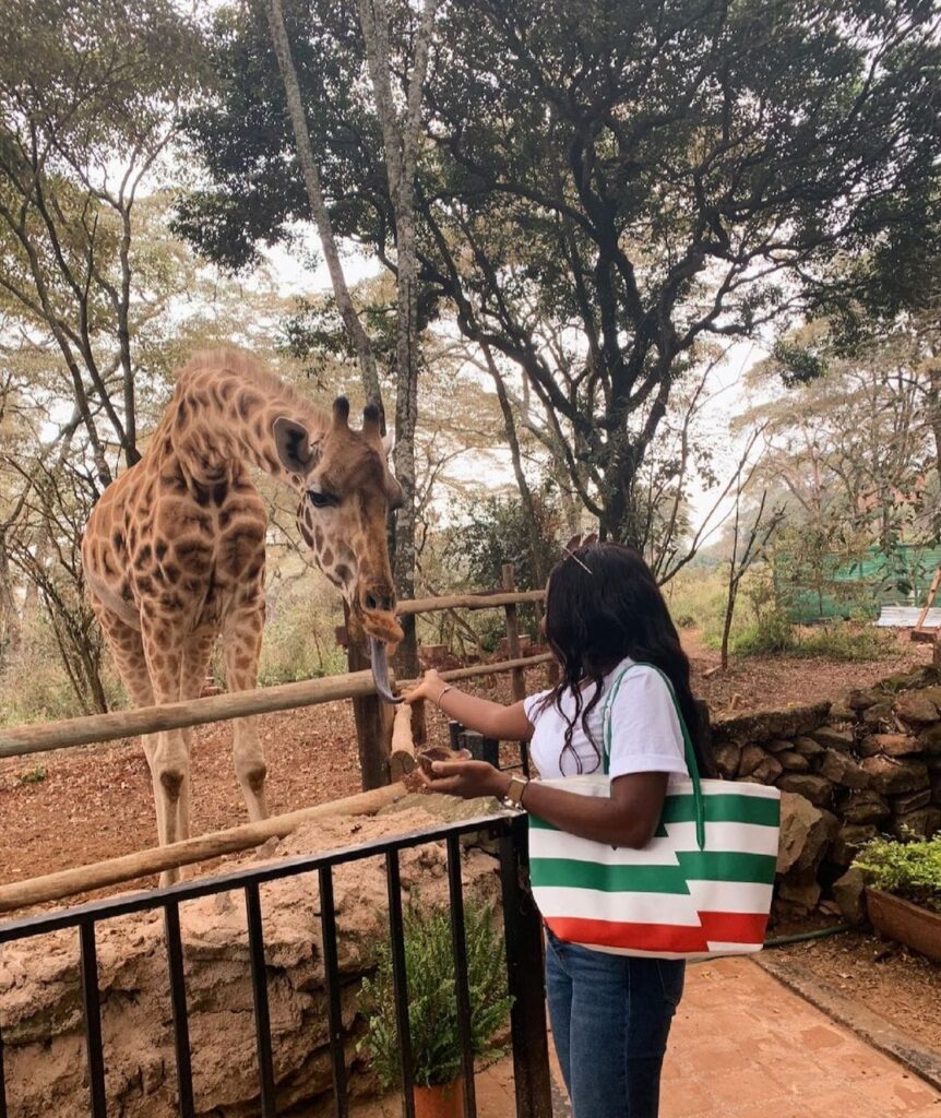 Hemingway's Safaris Africa Member at the Giraffe Centre, Nairobi